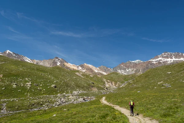 Escursioni della persona attraverso una valle verde della montagna . — Foto Stock