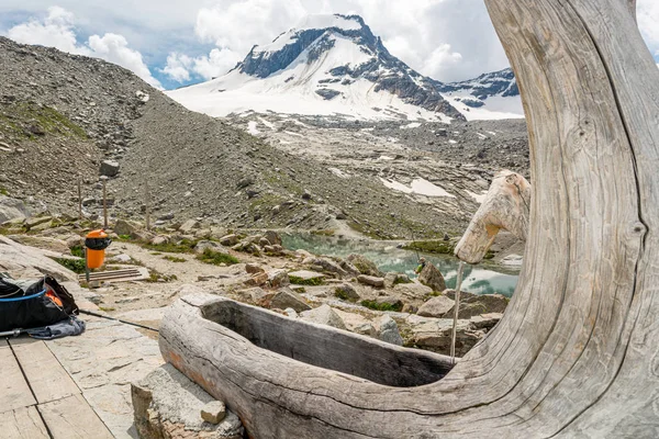 Tuyau d'eau avec lavabo en vieux tronc de bois . — Photo