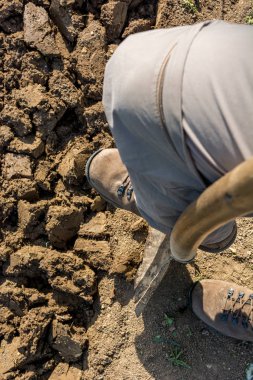 Erkek bahçıvan bahar ekimi için bahçe hazırlıyor..