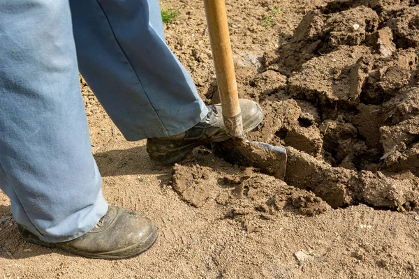 Jardinero masculino preparando el jardín para la siembra de primavera . —  Fotos de Stock