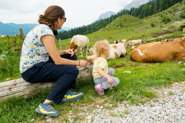 Madre e figlia guardando le mucche che riposano sui pascoli di montagna . — Foto Stock