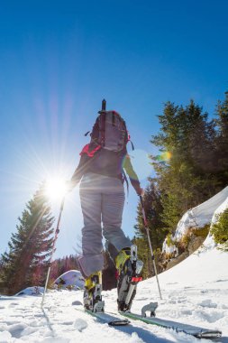 Orman yamacına tırmanan kadın kayak yarışçısı.