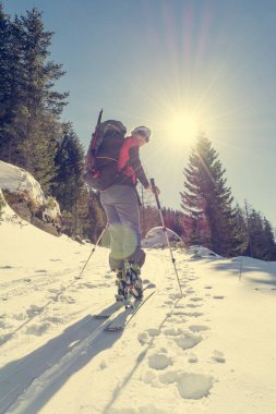 Orman yamacına tırmanan kadın kayak yarışçısı.