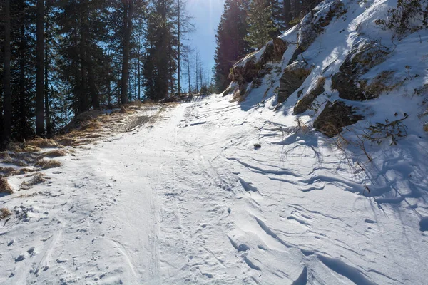 Śnieg pokryte drogi leśnej prowadzącej pod górę w góry. — Zdjęcie stockowe