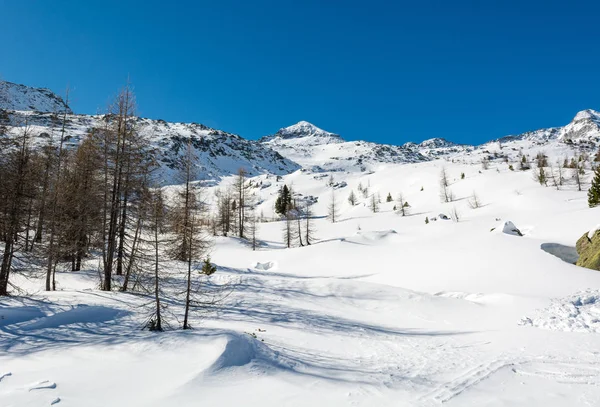 Spektakulär vinter bergspanorama hög i austriska alperna. — Stockfoto