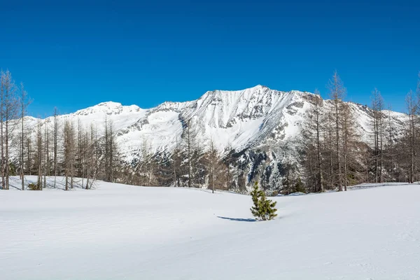 Espectacular panorama montañoso invernal alto en los alpes austriacos . —  Fotos de Stock