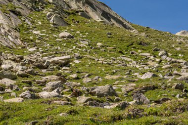 Gran Paradiso Doğal Parkı 'nın muhteşem dağ manzarasında yürüyüş yapmak.