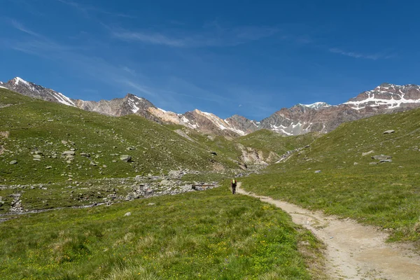 Escursioni della persona attraverso una valle verde della montagna . — Foto Stock