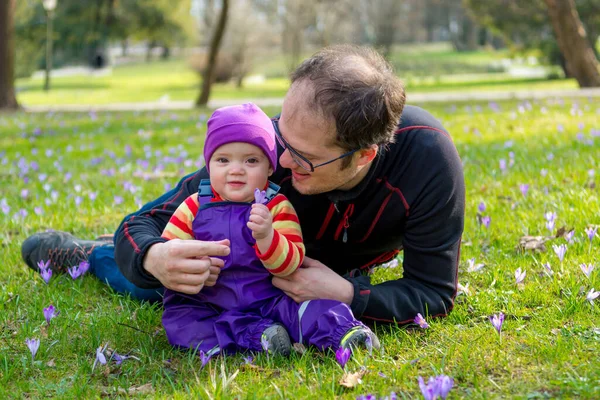 Pai e bebê filha posando no prado da primavera cheio de flores de açafrão . — Fotografia de Stock