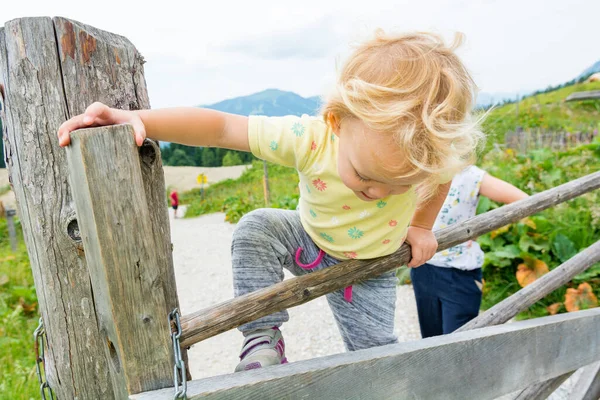 Menina loira bonito escalando através de cerca de madeira no pasto da montanha . — Fotografia de Stock