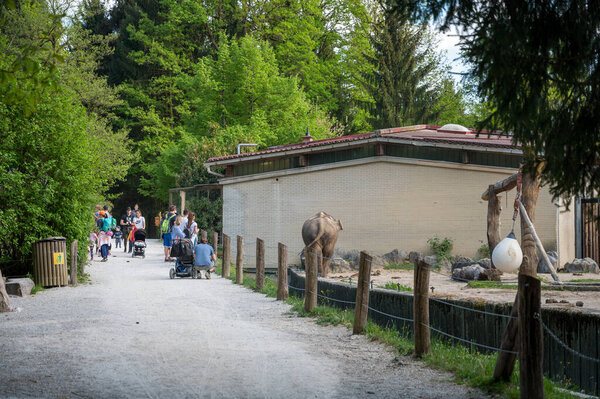Любляна, Словения - 27 апреля 2020 года: Люблянский зоопарк впервые открылся после того, как в марте начались ограничения на коронавирус
.