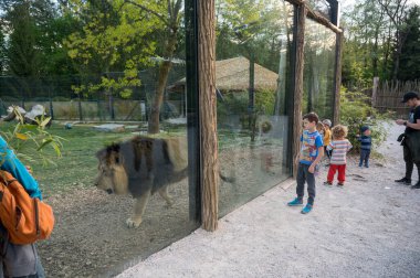 Ljubljana, Slovenya - 27 Nisan 2020: Ljubljana ZOO, Coronavirus kısıtlamalarının Mart ayında başlamasından sonra ilk kez açıldı.