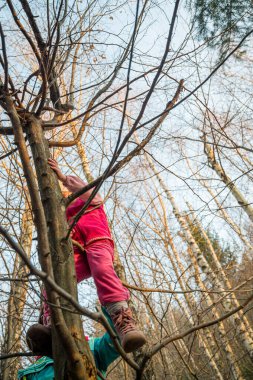 Gururlu aktif anne, kızının ormanda ağaca tırmanmasına yardım ediyor..