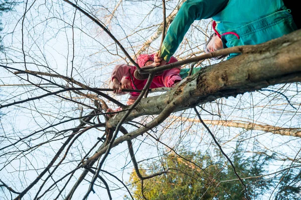 Горда активна мати допомагає доньці піднятися на дерево в лісі . — стокове фото