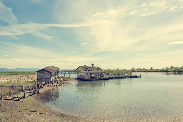 Abandoned docking pillars and dock for small boats covered with moss and decay. — Stock Photo, Image