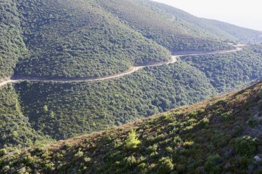 Toprak yolda yeşil yamaç