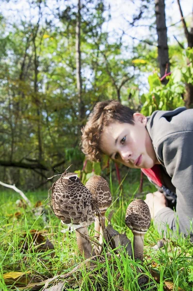 Młody człowiek oglądając parasol grzyby — Zdjęcie stockowe