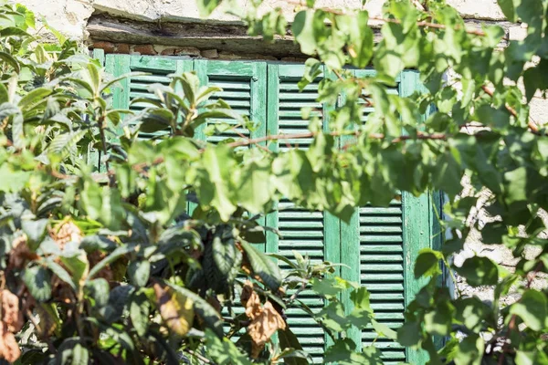 Vieja ventana de la casa con persianas — Foto de Stock