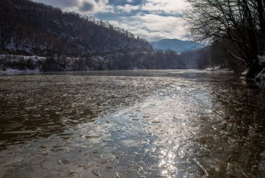 Doğa fotoğrafı, buz parçalarıyla dolu nehir ve portakal yapraklı ağaç dalları..