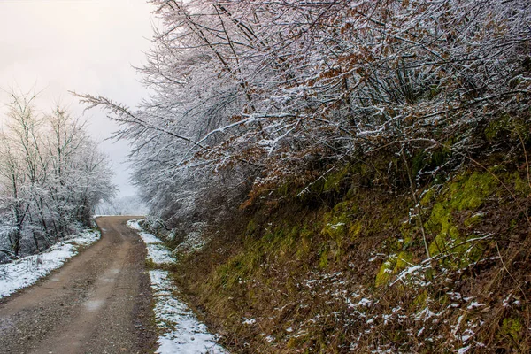 Road through the woods in the wintertime. Cold weather, traveling