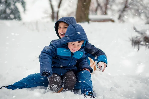 Bedårande, söta pojkar, bröder i vinterkläder, njuter av vintern, leker — Stockfoto