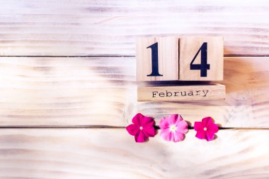 14 Şubat 'ta üç pembe çiçekli ahşap küp takvimi. Sevgililer Günü konsepti