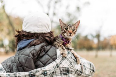 Sahibi omzunda sevimli, genç, çizgili bir evcil kedi taşıyor..