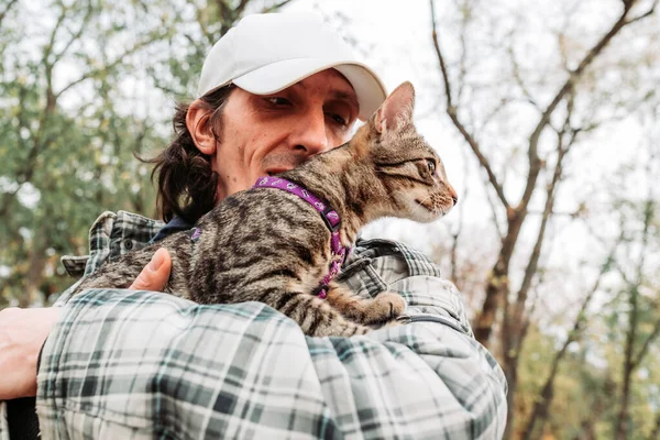 Sahibi omzunda sevimli, genç, çizgili bir evcil kedi taşıyor.. — Stok fotoğraf