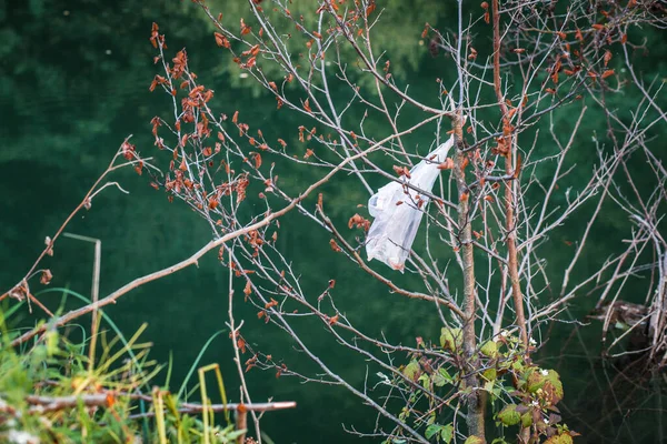 Sac Plastique Blanc Attaché Sur Les Branches Des Arbres Pollution — Photo