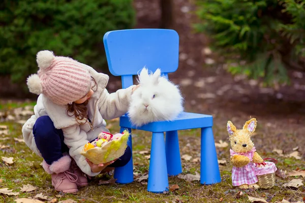 Echter Osterhase Sitzt Auf Einem Kleinen Blauen Stuhl Neben Dem — Stockfoto