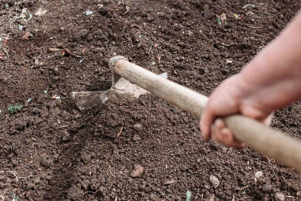 Boeren Schoffelen Tuin Voorbereiding Voor Plantage Organische Groei — Stockfoto