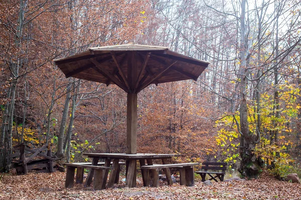 공원에는 숲으로 둘러싸인 피크닉 테이블 — 스톡 사진