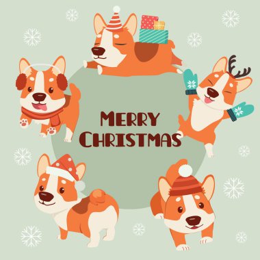 Şirin Corgi sosisleri koleksiyonu Noel kostümü seti giyer.