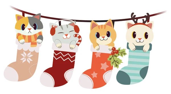 La colección de lindo gato en gran calcetín conjunto en el tema de Navidad — Archivo Imágenes Vectoriales