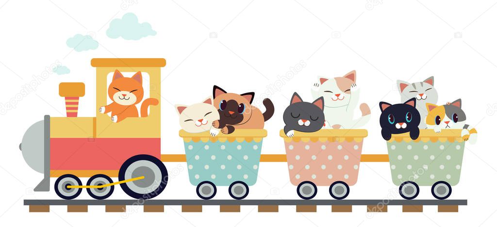 The character of cute cat sitting in the train on the white background