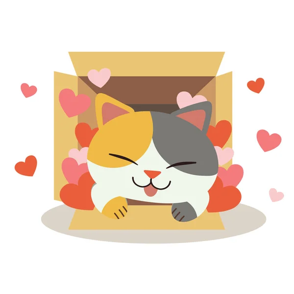 Kutudaki Sevimli Kedi Karakteri Beyaz Arka Planda Bir Kalp Çalıyor — Stok Vektör