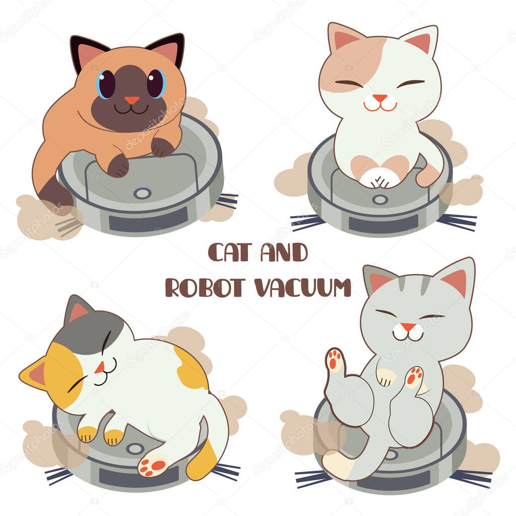 The collection of cute cat with robot vaccuum set on the white b