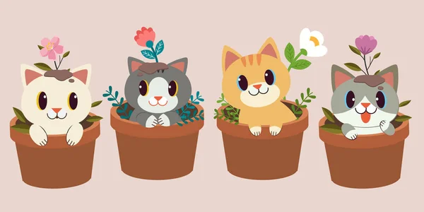 Coleção Gato Bonito Sentado Vaso Planta Com Flor — Vetor de Stock