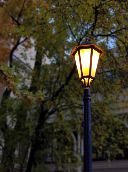Vintage Street Lamp Background Trees Green Yellow Foliage Autumn Day — Stock Photo, Image