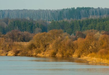 Nehir ve ormanın güzel manzarası.