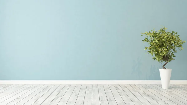 Empty room with plant — Stock Photo, Image