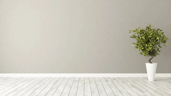 Habitación vacía con planta y pared marrón — Foto de Stock