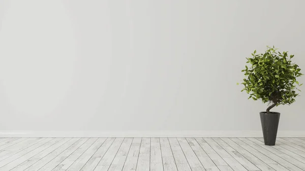 Пустая Комната Зеленым Растением Черной Вазе Белый Деревянный Пол Реалистичный — стоковое фото