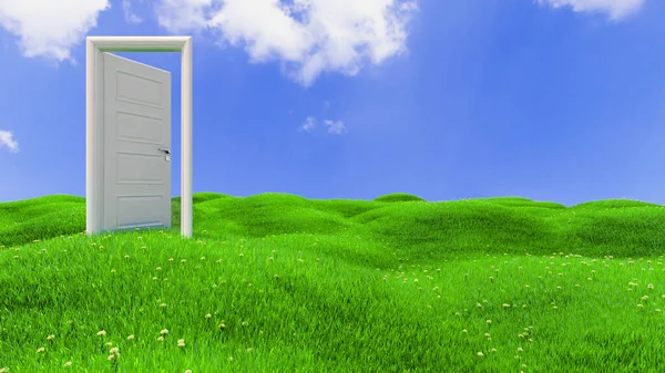 緑の花の丘の上に白い木製のドアを開く現実的な背景3Dレンダリング — ストック写真