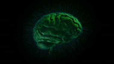 Dijital beyin. Yapay zeka. Kafa röntgeni. Beyin loblarının röntgenlerini döndürüyorum. Yüksek kaliteli bilgisayar animasyonu.