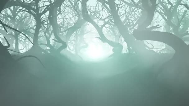 一个神秘神奇的森林 一个可怕的黑暗通道穿过了浓雾和烟雾 一种令人惊叹的恐惧 恐怖和好奇的气氛 这部电影是循环播放的 — 图库视频影像