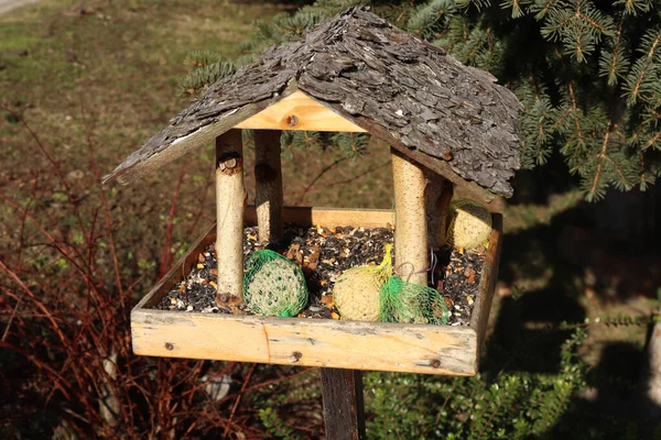 Feeder for birds in the garden built of wood. Sunflower, tallow and other food for birds in winter. Sunny weather.