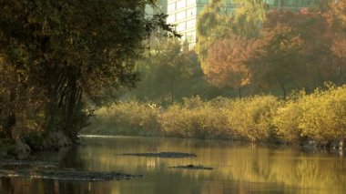 apartman kompleksi güzel göl kıyısında