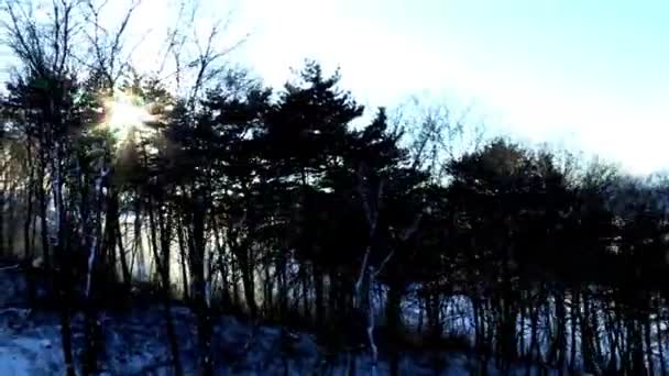 Remontées mécaniques ascendant Alpensia Ski Resort  