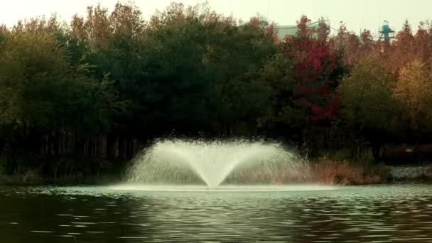 Splashes of fountain in quiet pond — стоковое видео